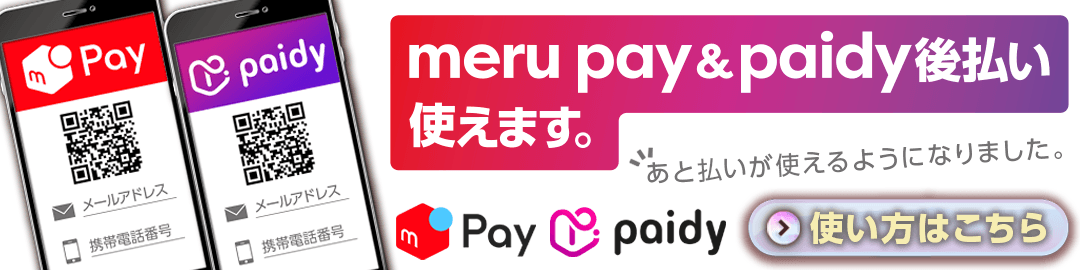 meru pay paidy